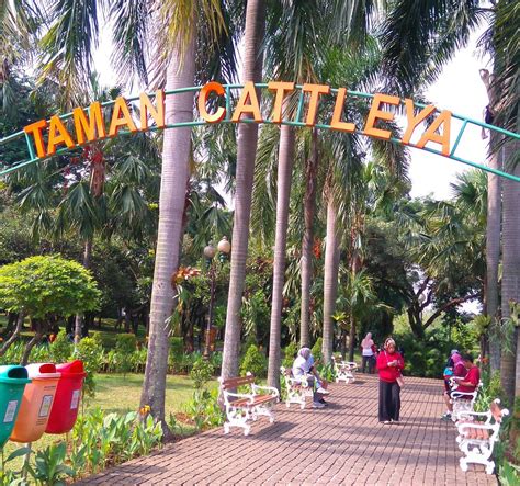 Taman Cattleya