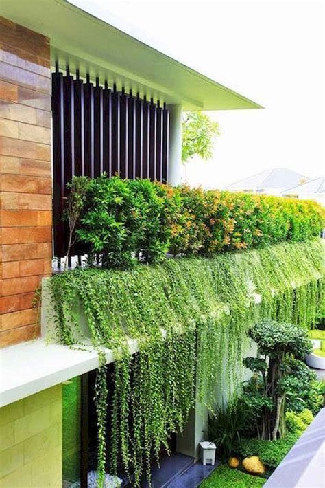 tanaman vertikal balkon