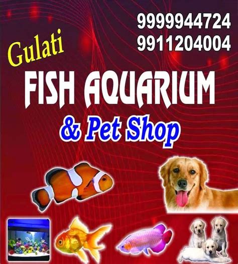 Taposh aquarium and pet shop