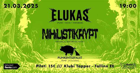 Tapper Vaari 2, 11318 Tallinn