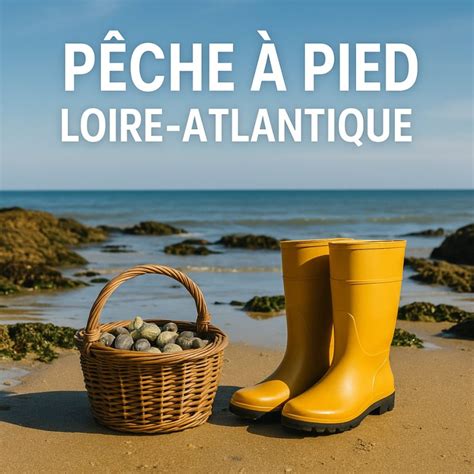 Techni Peche à Rethel