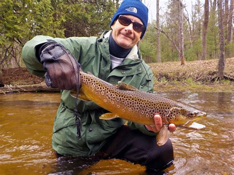 Techniques for Catching Trout in Pere Marquette River