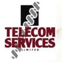 Telecom Services Ltd