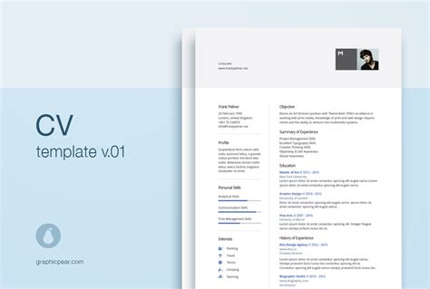 Template Cv Illustrator