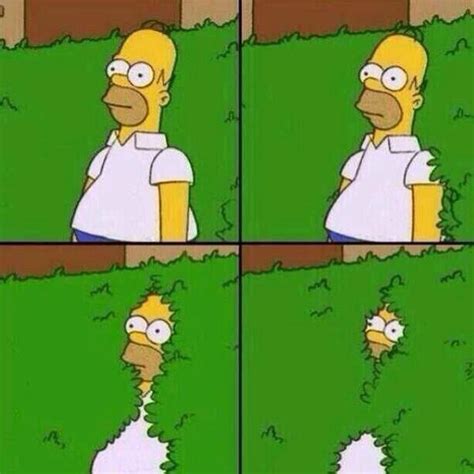 Template Homer Bushes