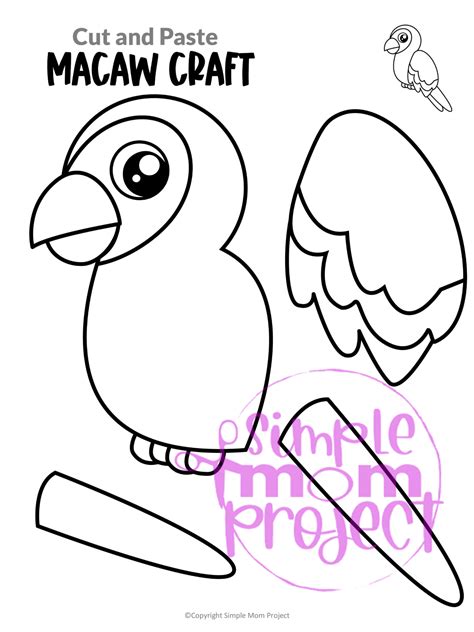Template Of A Parrot