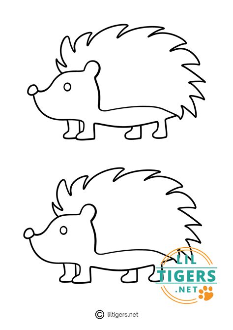 Template Of Hedgehog