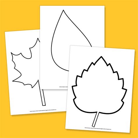 Template Of Leaves