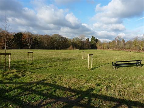 Temple Wood Natural Burial Ground