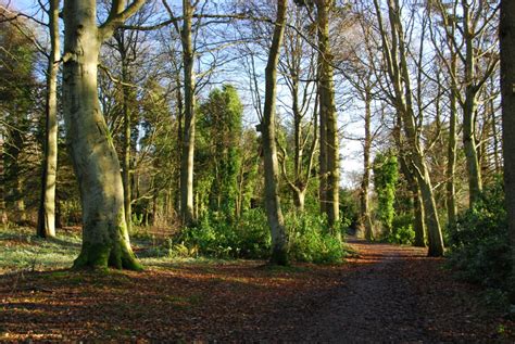 Templeton Woodland Walk