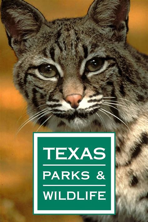 Texas Parks and Wildlife Fishing Report Tips