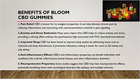 The Benefits and Effectiveness of Bloom CBD Gummies for Pain Relief and Well-being