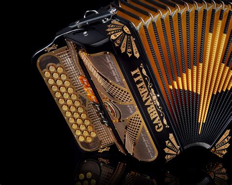 The Accordion & Melodeon Repairer