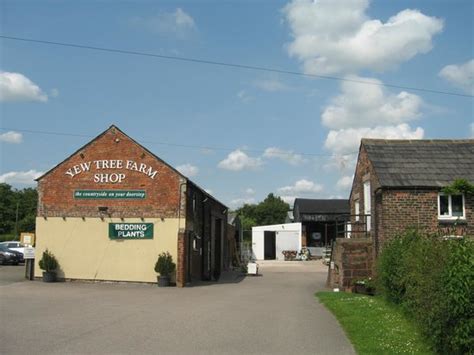 The Barn at Yew Tree Farm Ltd