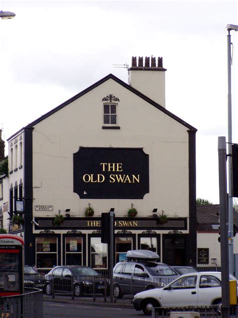 The Beauty Of The Old Swan
