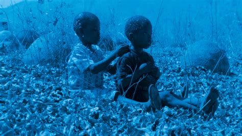 The Bird (2011) film online, The Bird (2011) eesti film, The Bird (2011) full movie, The Bird (2011) imdb, The Bird (2011) putlocker, The Bird (2011) watch movies online,The Bird (2011) popcorn time, The Bird (2011) youtube download, The Bird (2011) torrent download