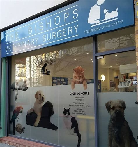 The Bishops Veterinary Surgery