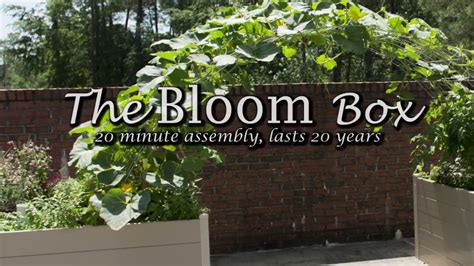 The Bloom Box