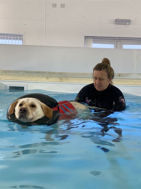The Canine Hydrotherapy Centre