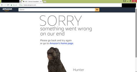 The Catalog.amazon.com Page Cannot Be Found