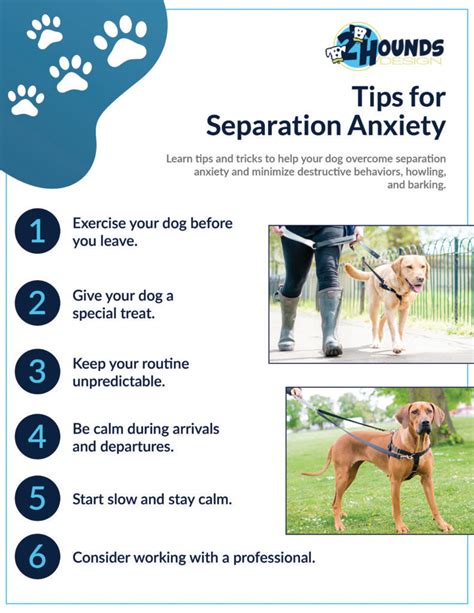 The Complete Canine Separation Anxiety Training