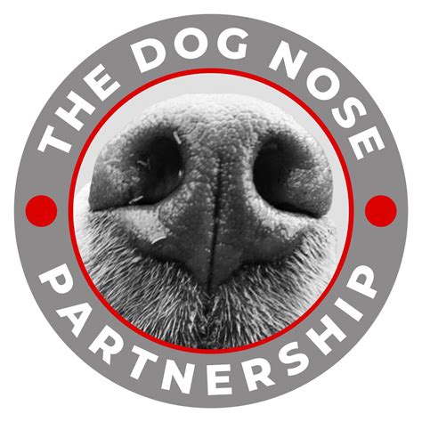The Dog Nose Partnership (Surrey Scentwork Specialists)