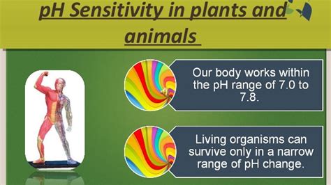 The Effects of pH on Living Organisms