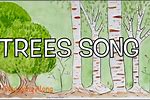 The Falling Tree Song