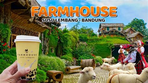 The Farm House Bandung animals