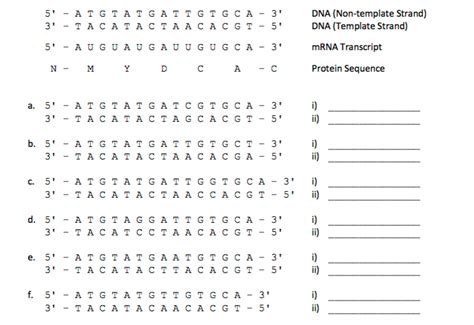 The Given Dna Non Template Sequence