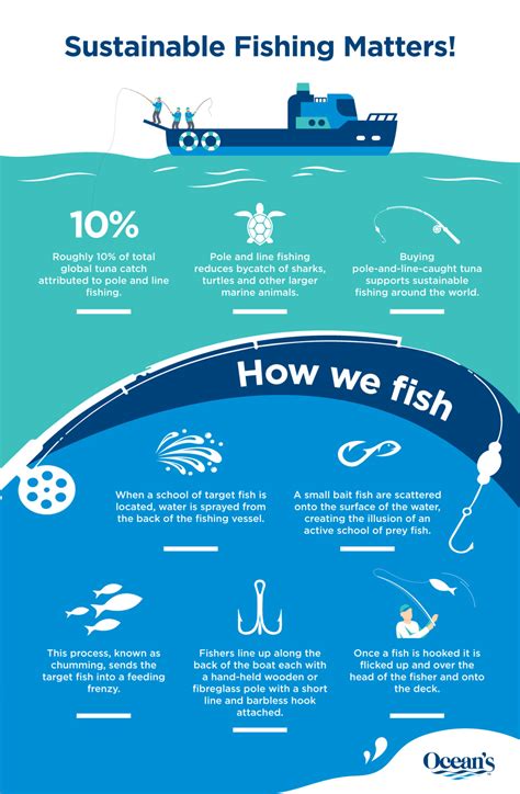The Importance of Sustainable Fishing Practices