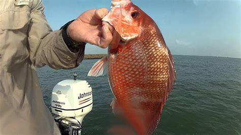 The Jetties are a Hotspot for Red Snapper