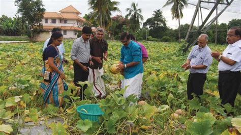 The Kerala Agricultural Nursery