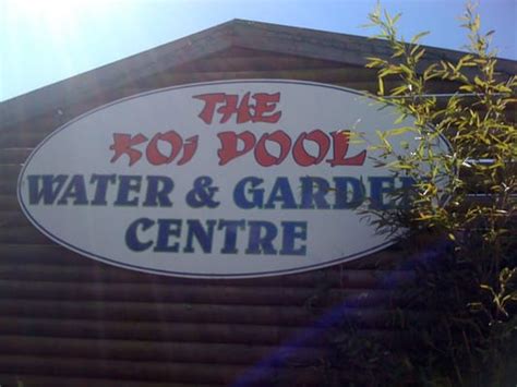 The Koi Pool Water Gardens