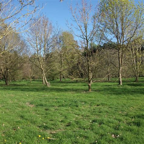 The Lovell Quinta Arboretum