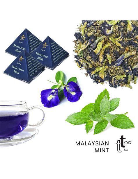 The Malaysian Tea Company
