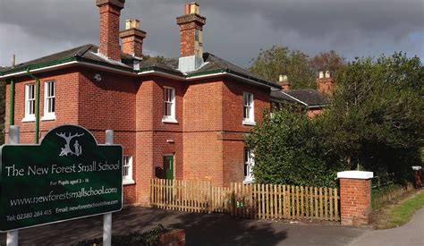 The New Forest Small School