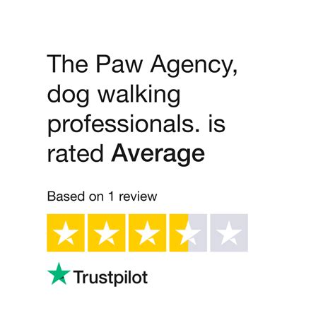 The Paw Agency, dog walking professionals.