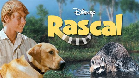 The Rascal (2005) film online, The Rascal (2005) eesti film, The Rascal (2005) full movie, The Rascal (2005) imdb, The Rascal (2005) putlocker, The Rascal (2005) watch movies online,The Rascal (2005) popcorn time, The Rascal (2005) youtube download, The Rascal (2005) torrent download