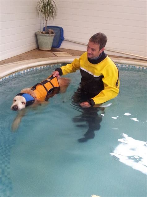 The Retreat Canine Hydrotherapy & Rehabilitation Centre