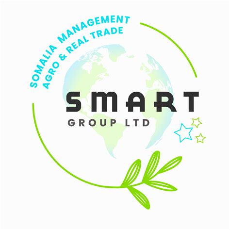 The Smart IT Group Limited