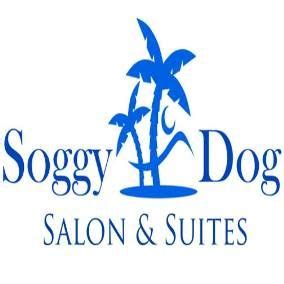 The Soggy Doggy Salon