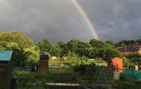 The Station Allotments Association