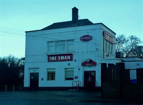 The Swan