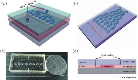 Three-Layer Microfluidic Device Cools Small Electronics