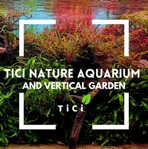 TiCi Nature Aquarium and Vertical Garden