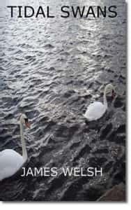 download Tidal Swans