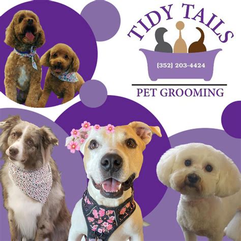 Tidy tails dog grooming