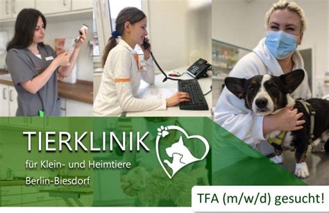 Tierärztliche Klinik für Klein- und Heimtiere