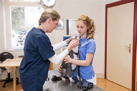 Tierarztpraxis für Kleintiere & Reptilien mit Notdienst